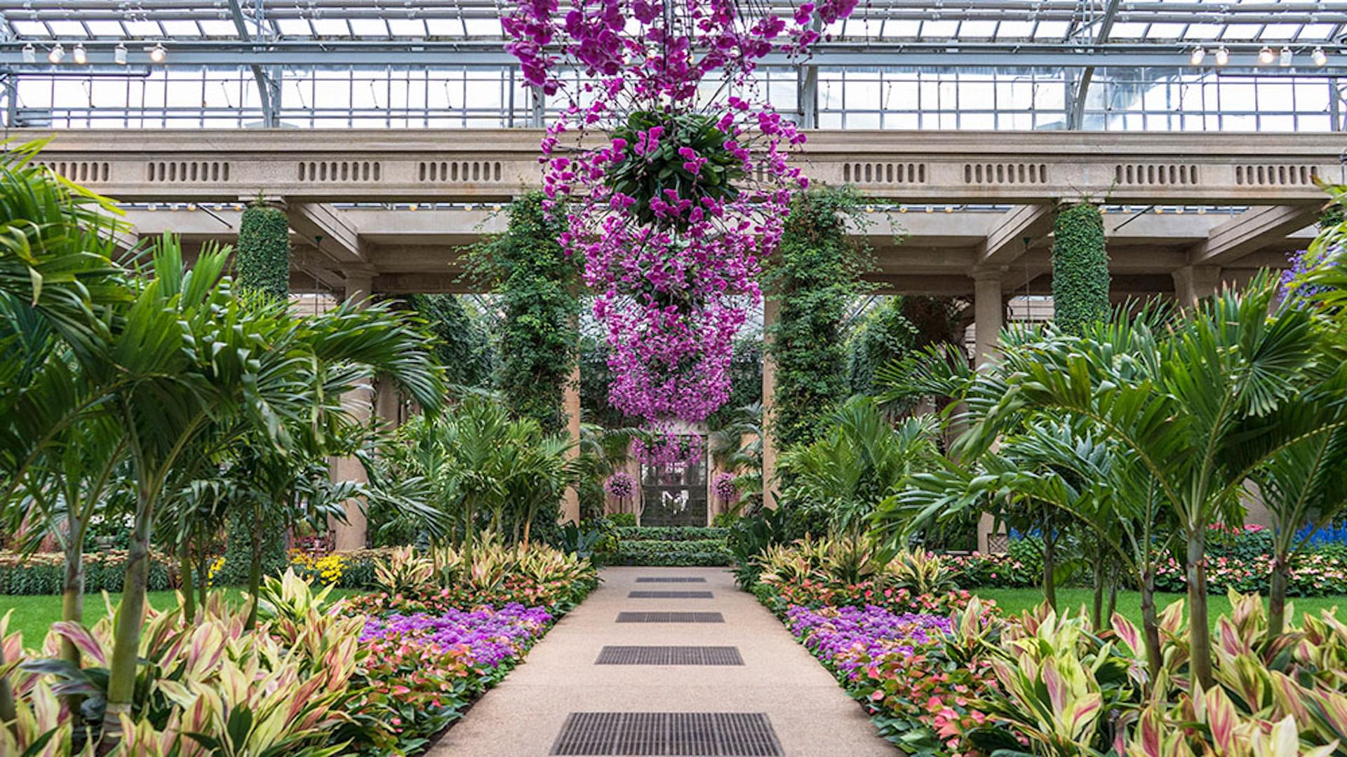 Image courtesy of Longwood Gardens